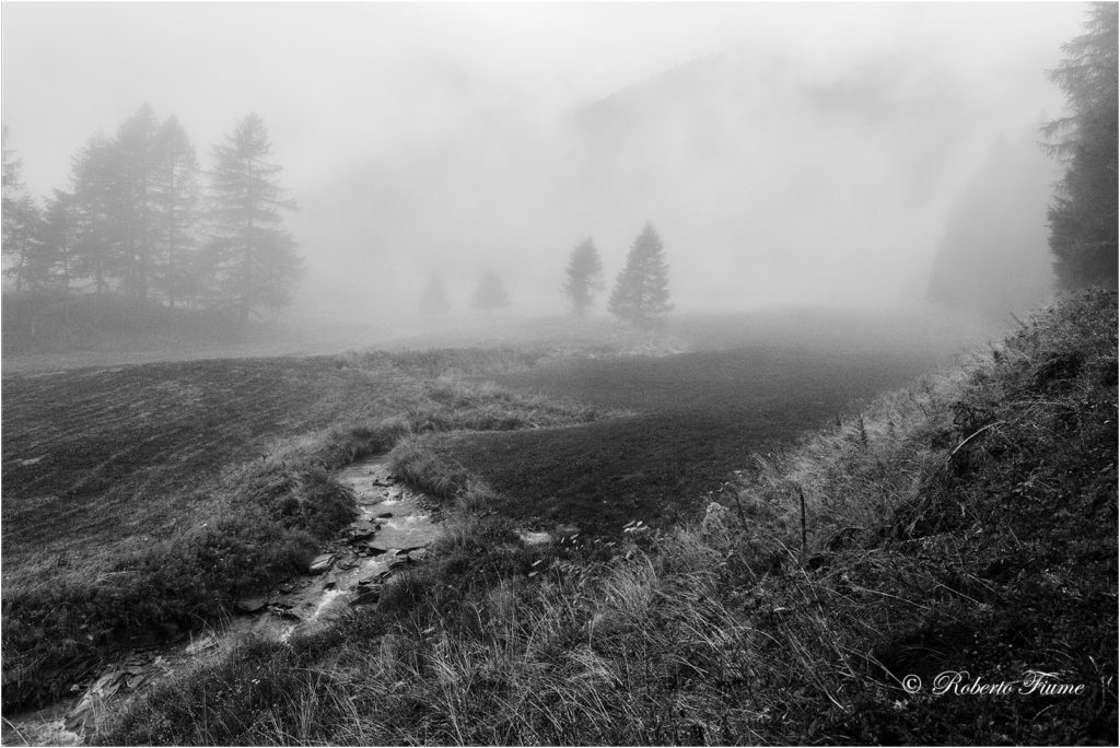 Nebbia in Val di Pejo - Canon EOS 5D Mark III Canon EF 17-40mm f/4 USM 1/80 f/10.0 ISO 100